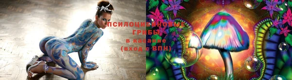 соль ск Осташков