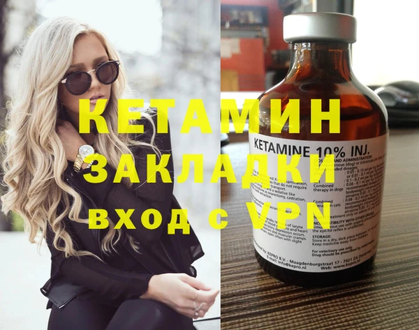 дживик Пересвет
