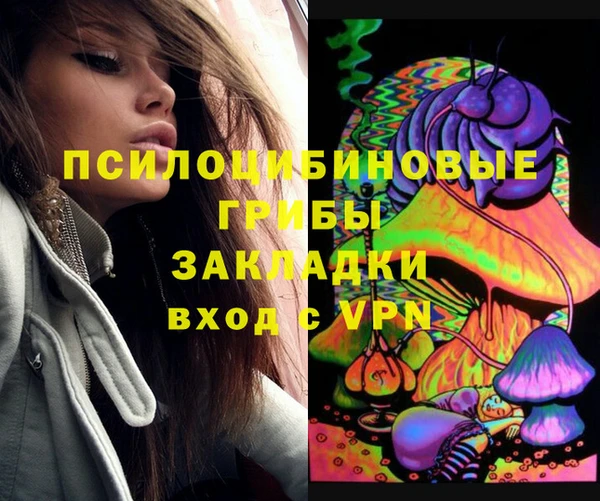 дживик Пересвет