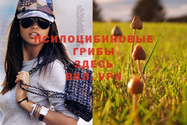 альфа пвп Нязепетровск