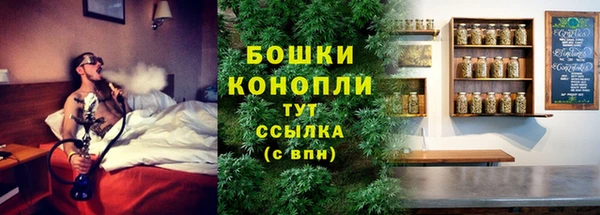соль ск Осташков