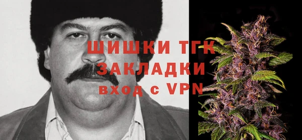 прущие крисы Няндома