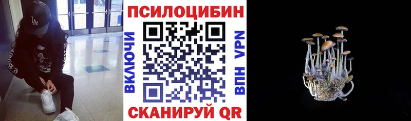 Псилоцибиновые грибы прущие грибы  купить  цена  Лянтор 