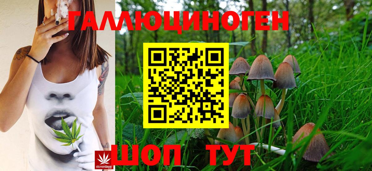 Галлюциногенные грибы Psilocybe Лянтор