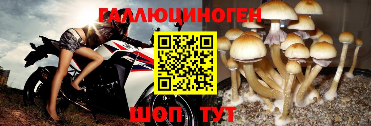 Псилоцибиновые грибы Psilocybe  где можно купить   Лянтор  Вход с VPN 