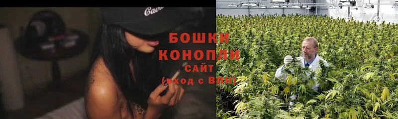 где можно купить наркотик  Лянтор  Бошки Шишки OG Kush 